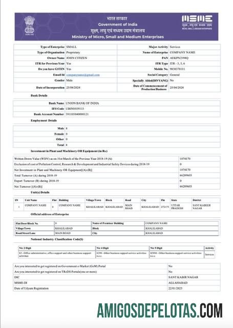 Certificado de registro Udyam da Índia para impressão, modelo Word e PDF, versão 6